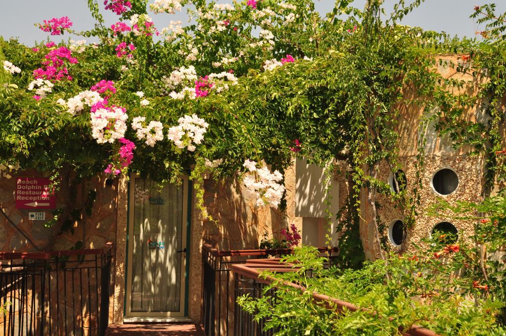 Hotel apartamentowy Siesta